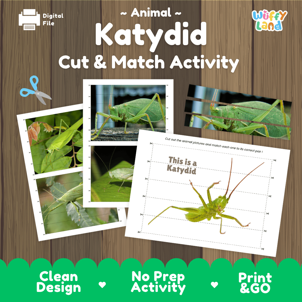 Katydid Cut and Match Activity Printables Worksheets