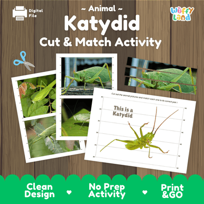 Katydid Cut and Match Activity Printables Worksheets