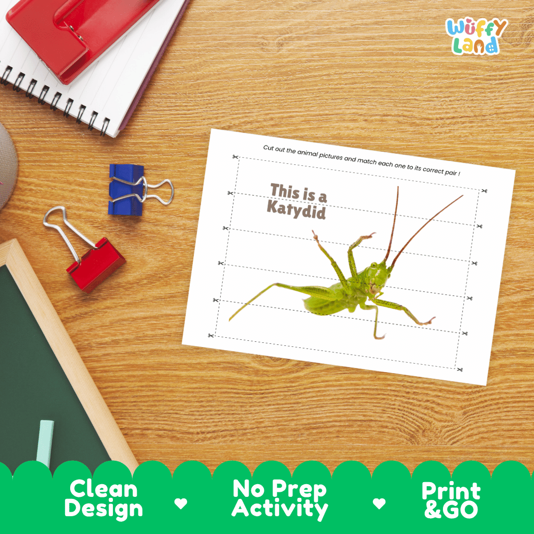 Katydid Cut and Match Activity Printables Worksheets