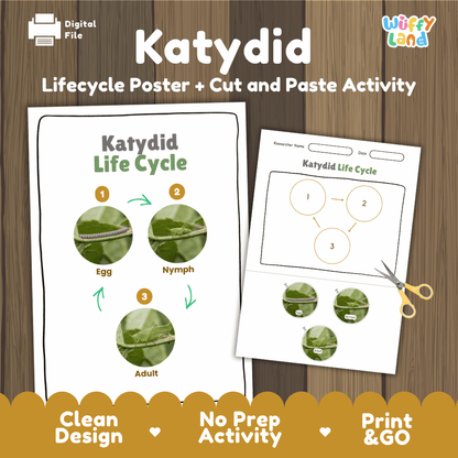 Katydid Life Cycle Poster and Cut and Paste Activity Worksheets