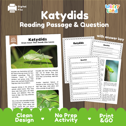 Digital reading activity product for 'Katydid' featuring a reading passage, comprehension questions, and an answer key, presented on a wood background with promotional text at the bottom.