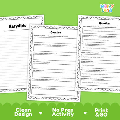 Katydids Reading Passage and Comprehension Questions Worksheets