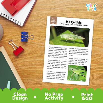 An educational printout activity sheet titled 'Katydid' showing text and two green katydid photos, placed on a wooden desk with a notebook, binder clips, and a pen nearby. A green banner at the bottom reads 'Clean Design', 'No Prep Activity', and 'Print & GO'.