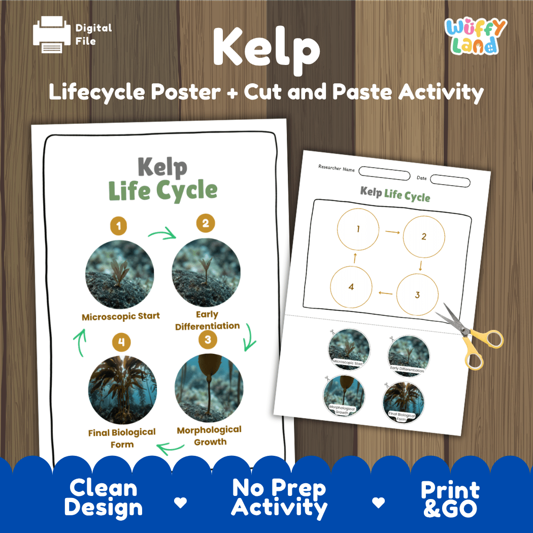 Kelp marine plant life cycle educational printable pack cover showing visual reference poster and cut and paste sequencing worksheet with real photography