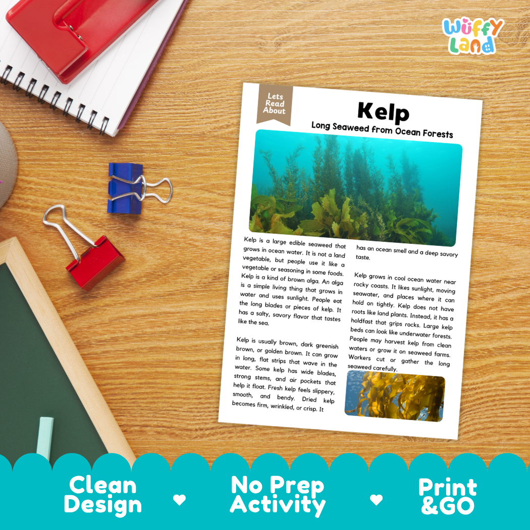 Student reading comprehension worksheet with short-answer questions and lined sections about kelp marine seaweed