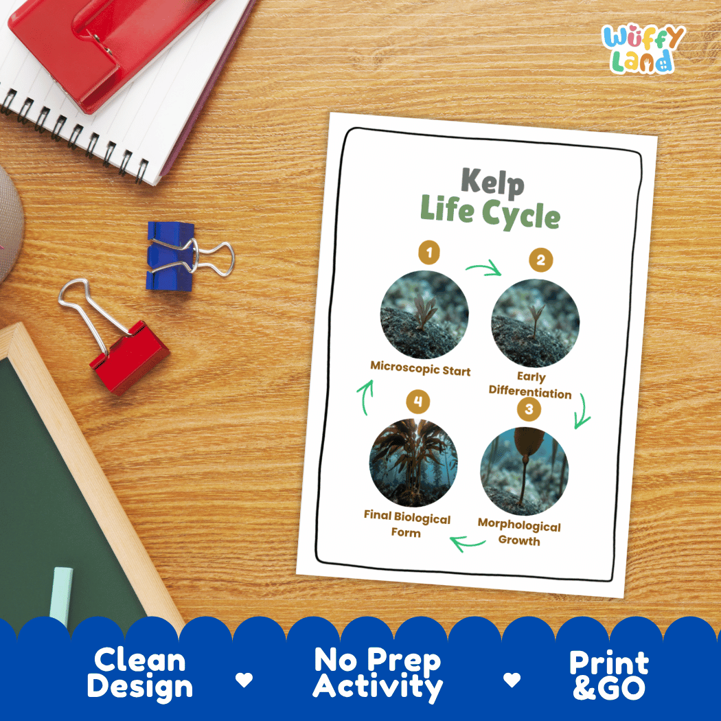 Hands-on cut and paste science worksheet for students to cut real photo tokens and sequence kelp growth stages onto numbered circles