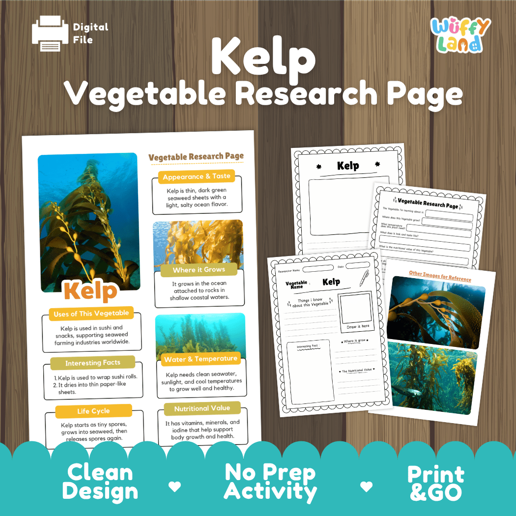 Kelp Vegetable Research Page Worksheets and Fact Sheet