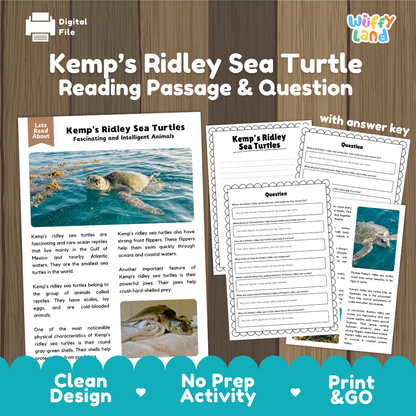 Kemp's Ridley Sea Turtle Reading Passage and Comprehension Questions Worksheets