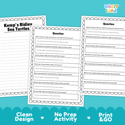 Kemp's Ridley Sea Turtle Reading Passage and Comprehension Questions Worksheets
