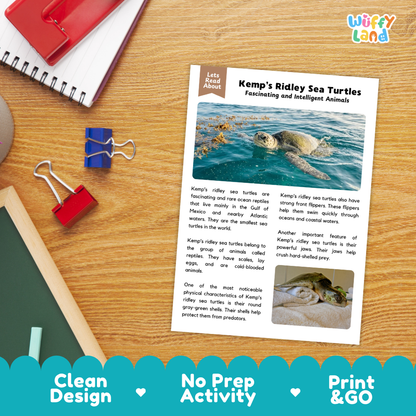 Kemp's Ridley Sea Turtle Reading Passage and Comprehension Questions Worksheets