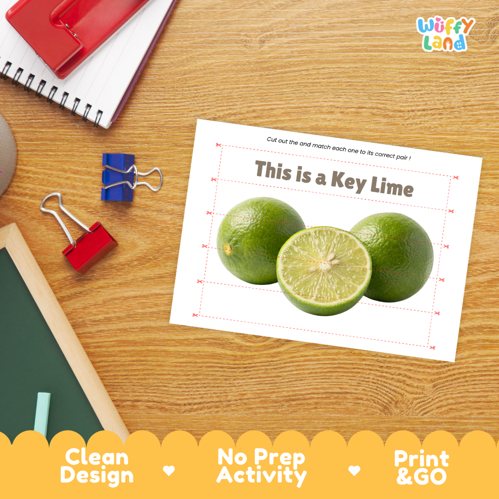 Close-up of puzzle worksheet showing Key lime images and dotted scissor lines