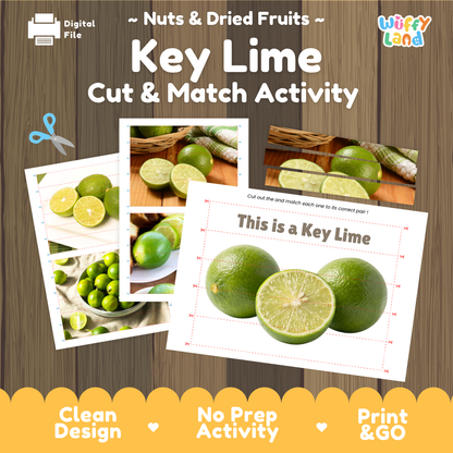 Key lime cut and match activity cover showing printable fine motor puzzle sheets and citrus photographs