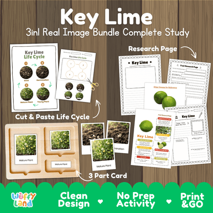 Complete Key Lime 3-in-1 real image study bundle featuring cut and paste worksheets, Montessori 3-part cards, and research pages 🍋🌱