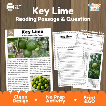 Key lime reading comprehension passage and questions printable activity pack with answer key for elementary students