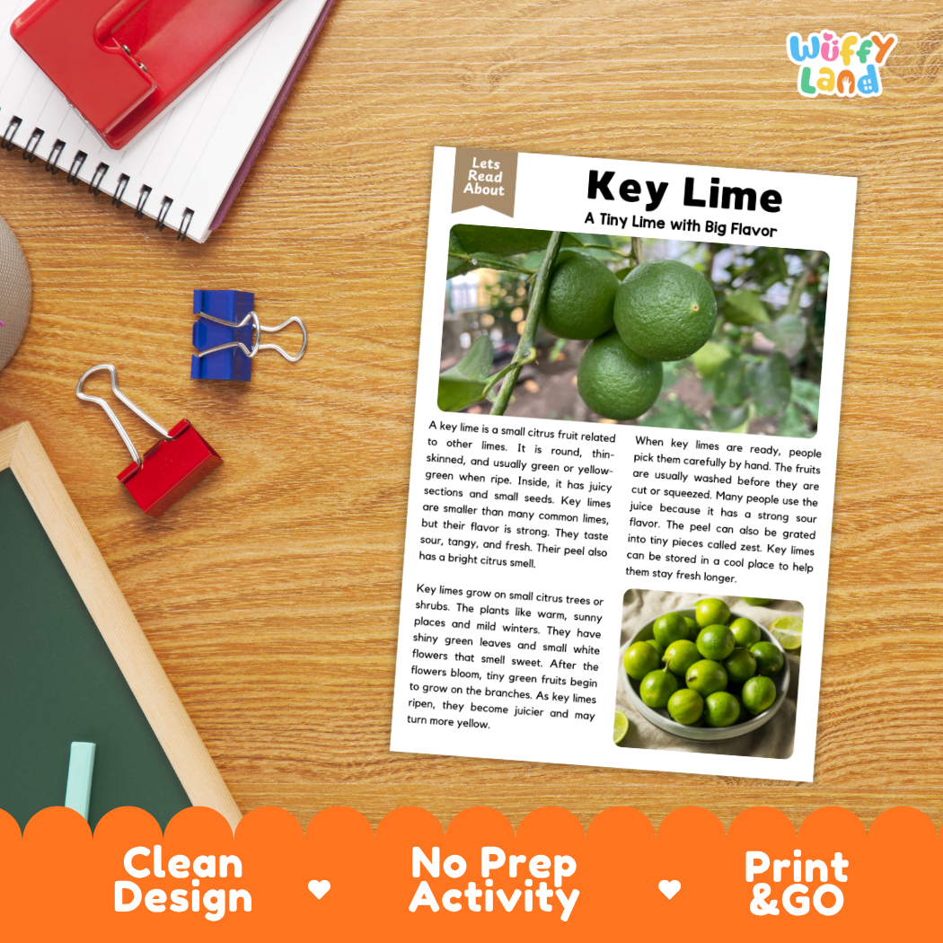 Student reading comprehension worksheet with short-answer questions and lined sections about key lime citrus fruit