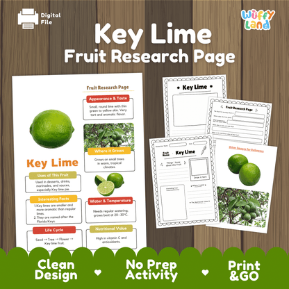 Key Lime Fruit Research Project Science Worksheet Fact Sheet Activity