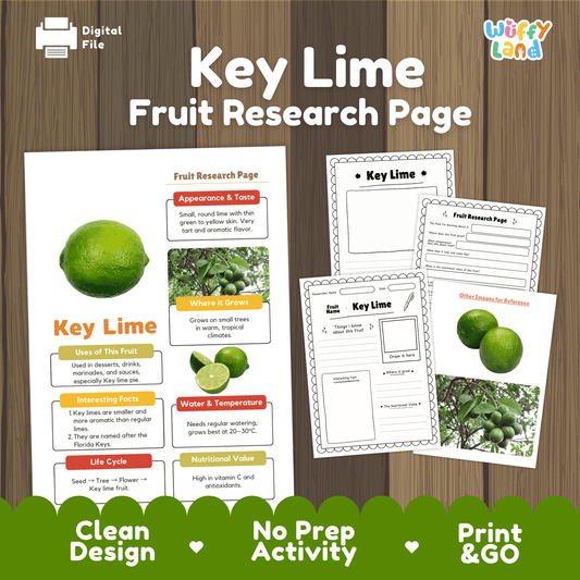 Key Lime Fruit Research Project Science Worksheet Fact Sheet Activity