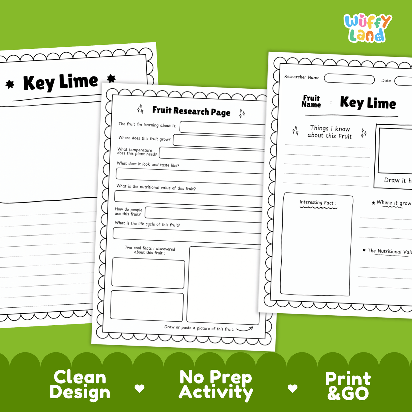 Key Lime Fruit Research Project Science Worksheet Fact Sheet Activity