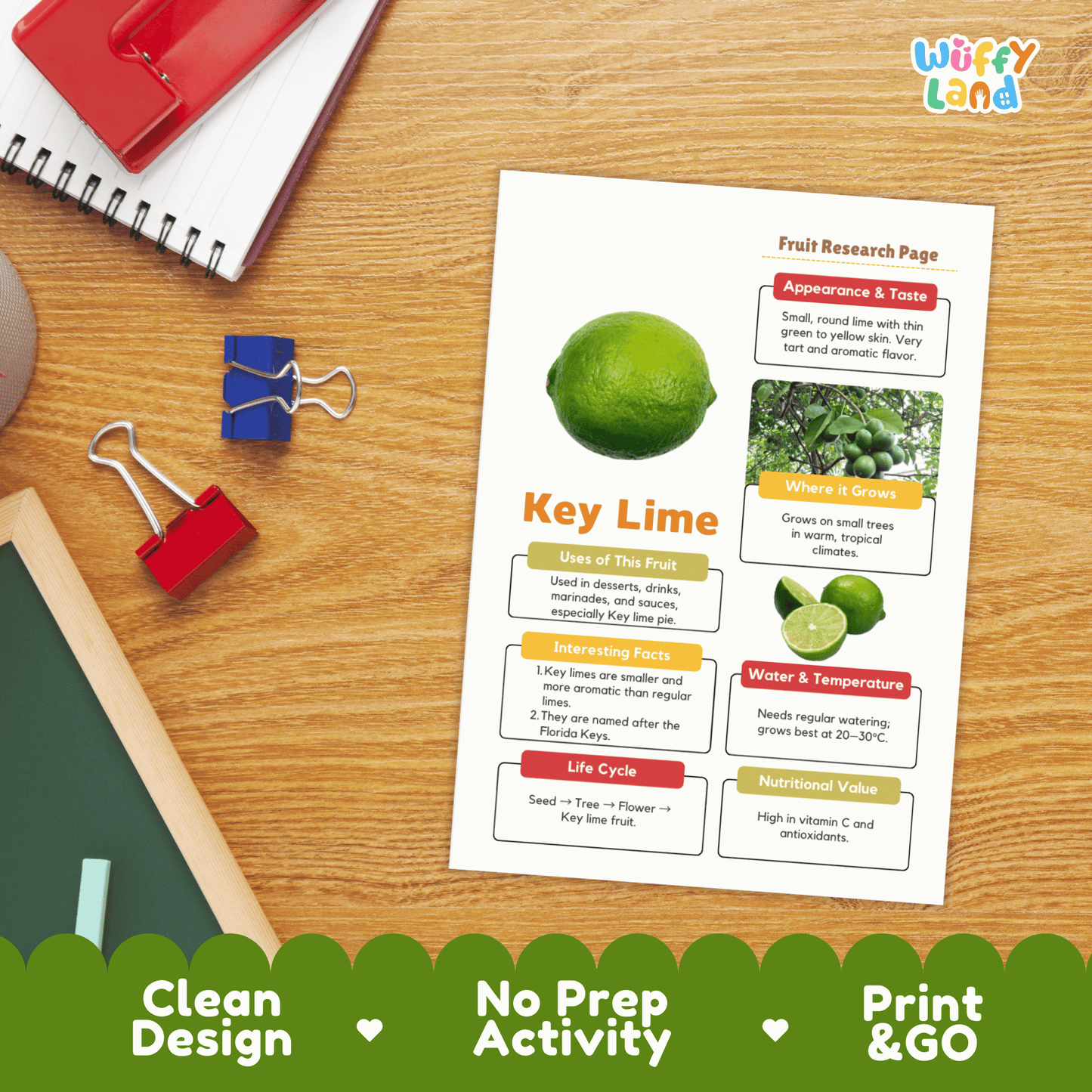 Key Lime Fruit Research Project Science Worksheet Fact Sheet Activity
