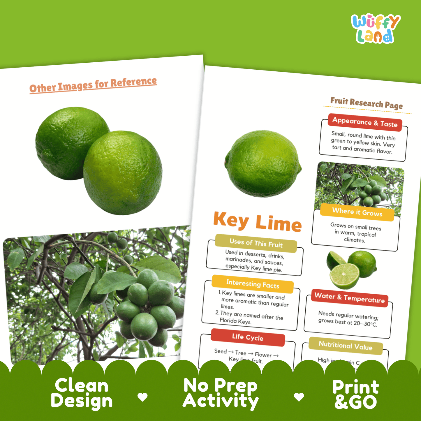 Key Lime Fruit Research Project Science Worksheet Fact Sheet Activity