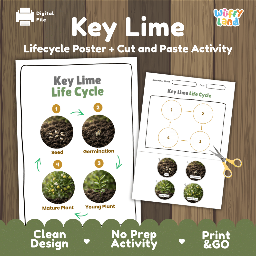 Key Lime Life Cycle Poster and Cut and Paste Worksheet Activity