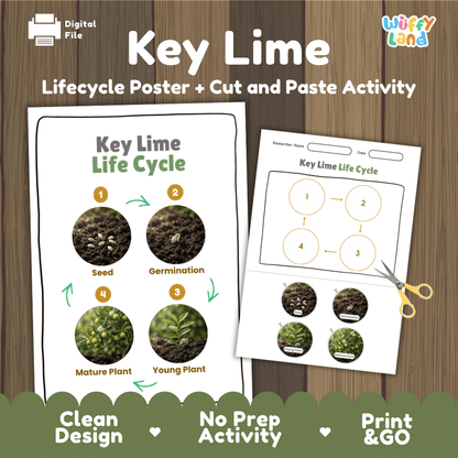 Key Lime Life Cycle Poster and Cut and Paste Worksheet Activity