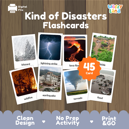 Kind of Disasters Flashcards