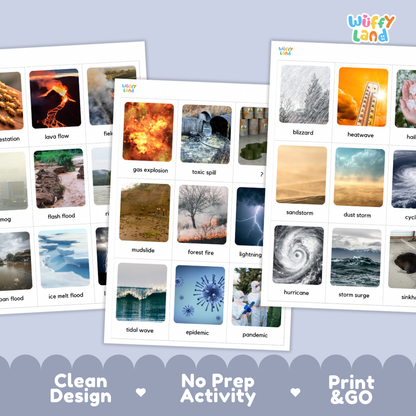 Kind of Disasters Flashcards