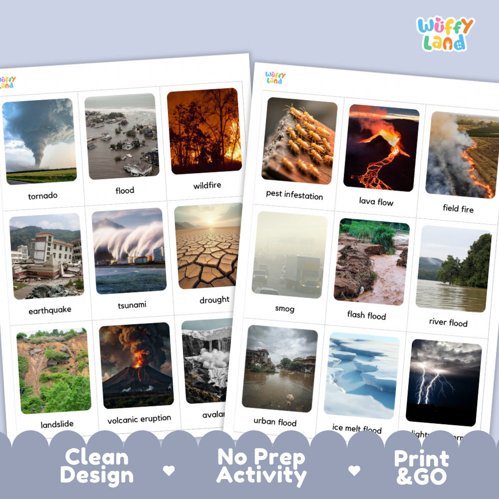 Kind of Disasters Flashcards