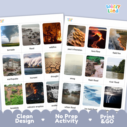 Kind of Disasters Flashcards