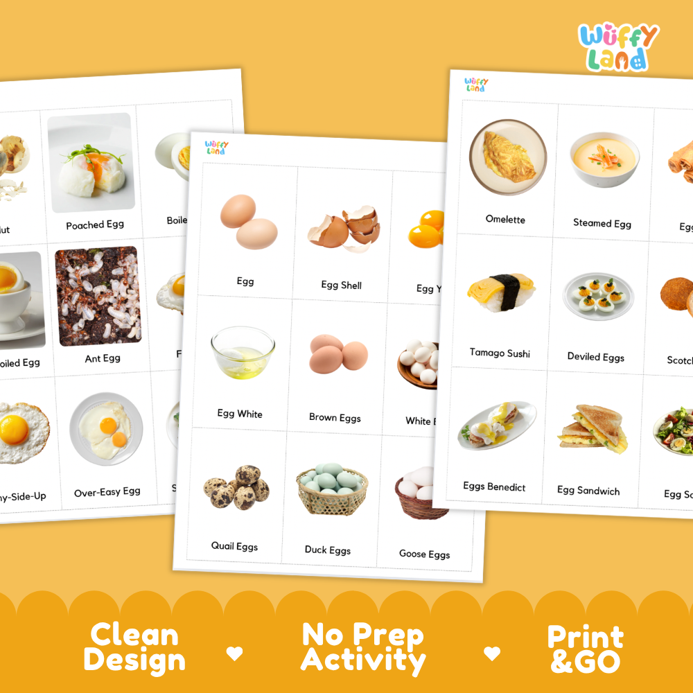 Kind of Eggs Flashcards Printable Cards for Early Elementary