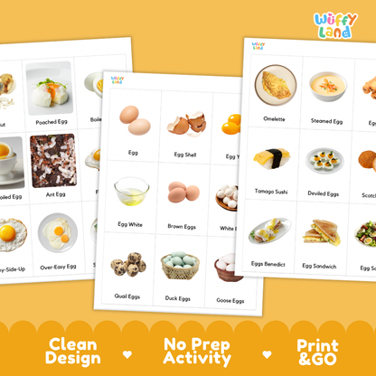 Kind of Eggs Flashcards Printable Cards for Early Elementary