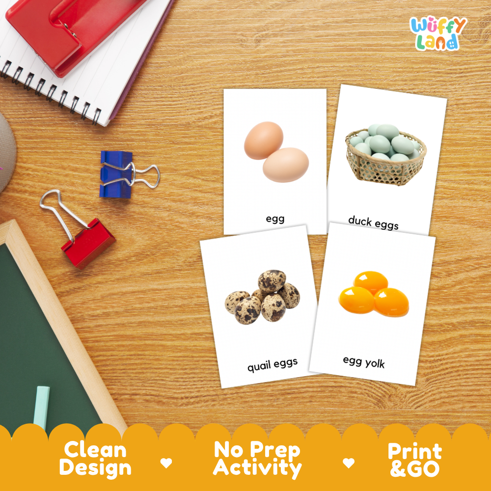 Kind of Eggs Flashcards Printable Cards for Early Elementary