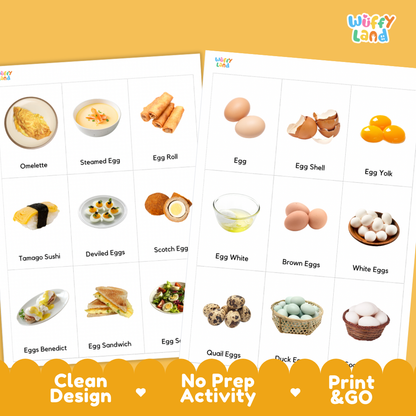 Kind of Eggs Flashcards Printable Cards for Early Elementary