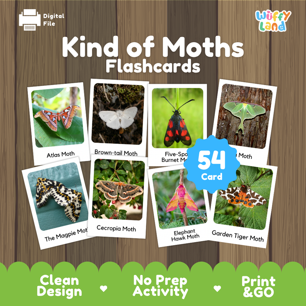 Kind of Moths Flashcards Printable Cards for Early Elementary
