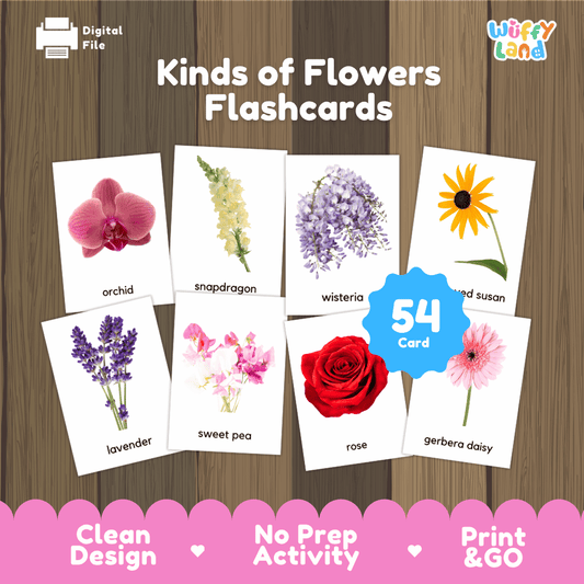 Kinds of Flowers Flashcards printable botany real photo activity pack overview from Wuffy Land featuring 54 cards 🌸🌹