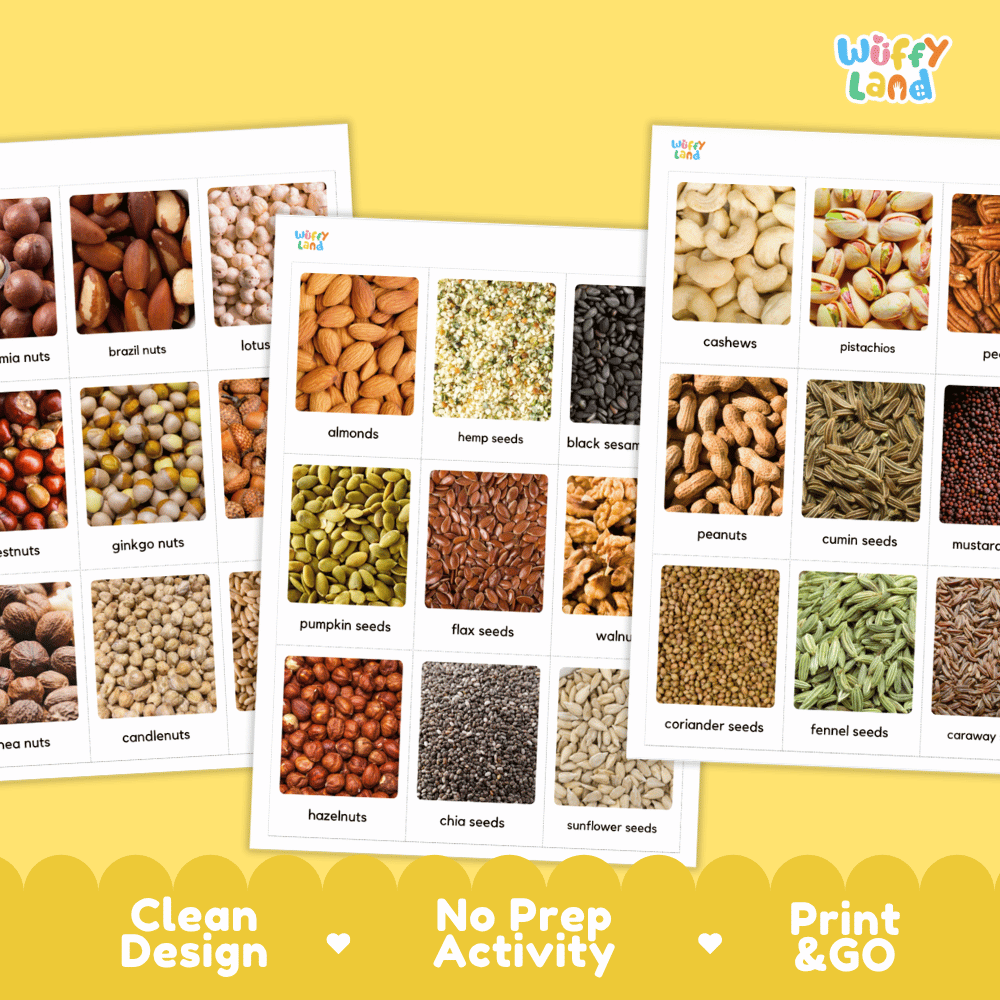 Three printed activity sheets showing labeled nut and seed photographs arranged on a yellow background, with the Wiffly Land logo at top right and marketing text along the bottom.