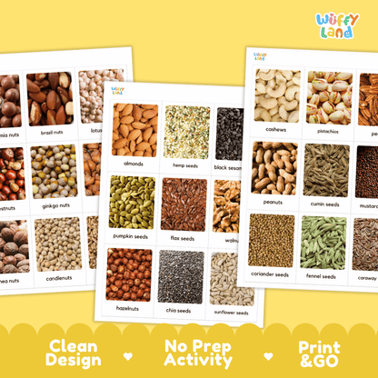 Three printed activity sheets showing labeled nut and seed photographs arranged on a yellow background, with the Wiffly Land logo at top right and marketing text along the bottom.