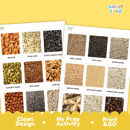 Two printed activity sheets showing labeled seed and nut photos, placed on a yellow background with decorative yellow banner elements. The sheets include labels such as almonds, hemp seeds, black sesame seeds, celery seeds, basil seeds, perilla seeds, pumpkin seeds, flax seeds, walnuts, quinoa seeds, amaranth seeds, and watermelon seeds.