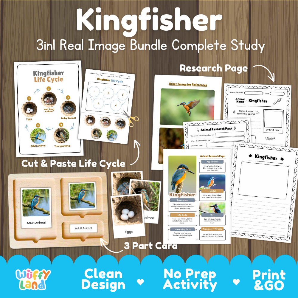 Kingfisher 3-in-1 real image bundle complete study cover showing cut and paste life cycle, 3 part cards, and research pages