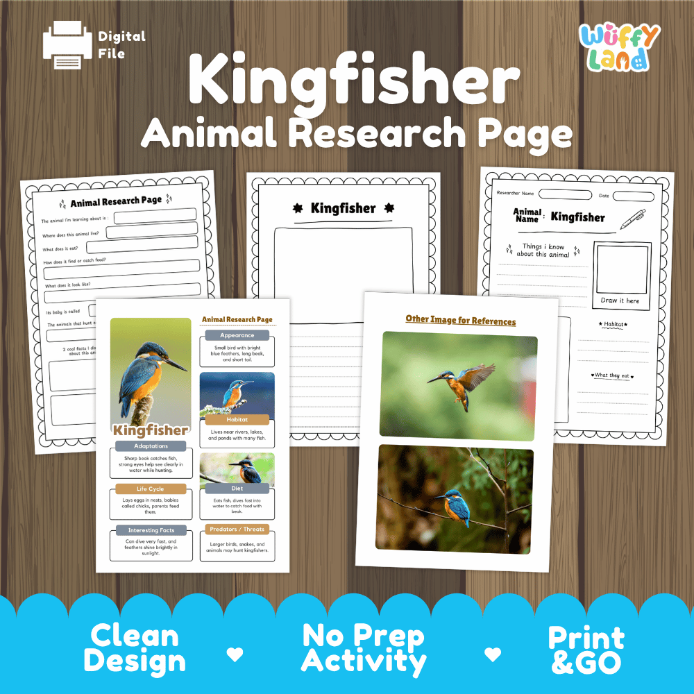 Kingfisher Animal Research Page Worksheets and Fact Sheet