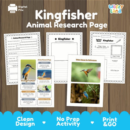 Kingfisher Animal Research Page Worksheets and Fact Sheet