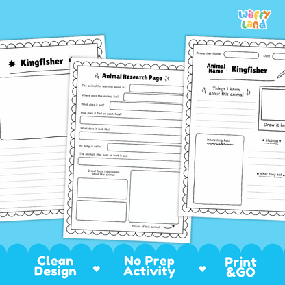 Kingfisher Animal Research Page Worksheets and Fact Sheet