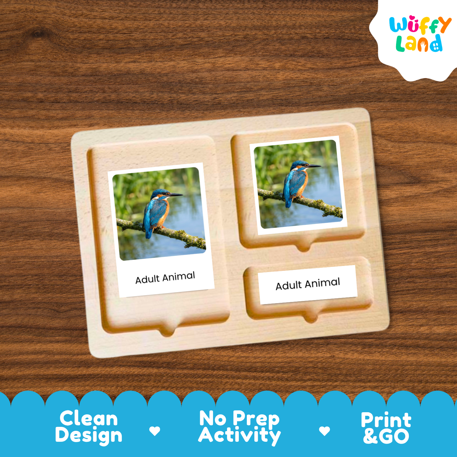 A wooden two-compartment activity tray from Wuffy Land, featuring printed cards of a kingfisher labeled 'Adult Animal' on a dark wood background.