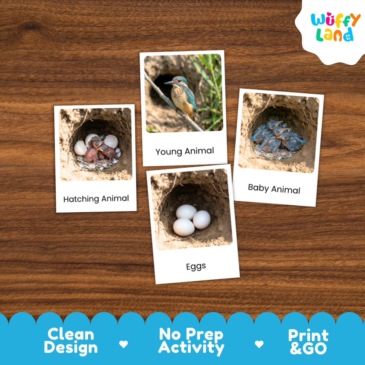 Print-and-go animal activity cards showing animal nests and eggs, displayed on a wooden background with a 'Wuffy Land' logo in the top right corner.