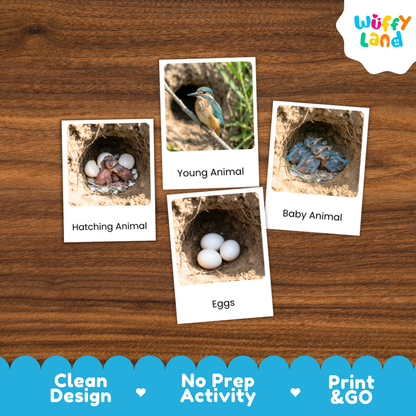Print-and-go animal activity cards showing animal nests and eggs, displayed on a wooden background with a 'Wuffy Land' logo in the top right corner.