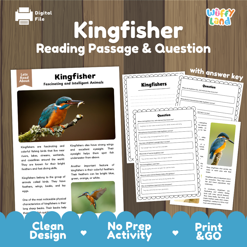 Kingfisher Reading Passage and Comprehension Questions Worksheets