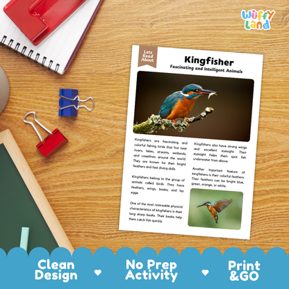 Kingfisher Reading Passage and Comprehension Questions Worksheets