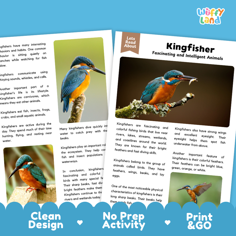 Kingfisher Reading Passage and Comprehension Questions Worksheets
