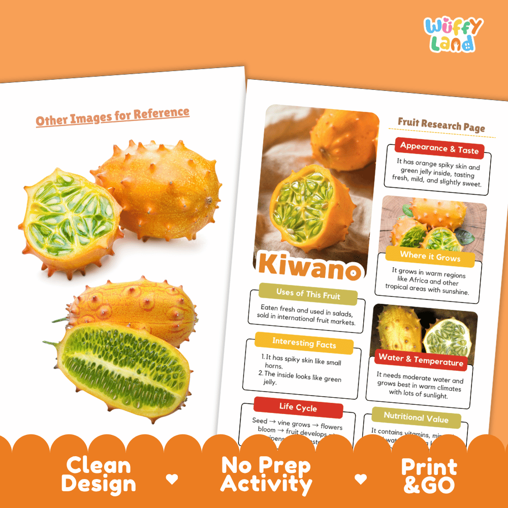 Kiwano Fruit Research Page Worksheets and Fact Sheet